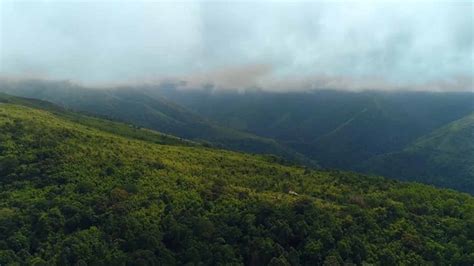 denr region 3|Over 122K hectares of denuded forestlands restored in C. Luzon.